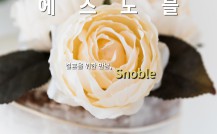 전직 대통령 집안도 믿은, 최상위 결…